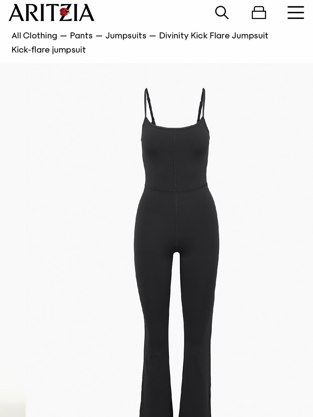 Aritzia Wilfred Free Divinity Kick-Flare Jumpsuit